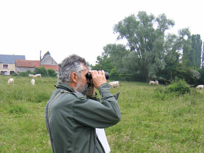 Mr Jean-Claude Laleure 